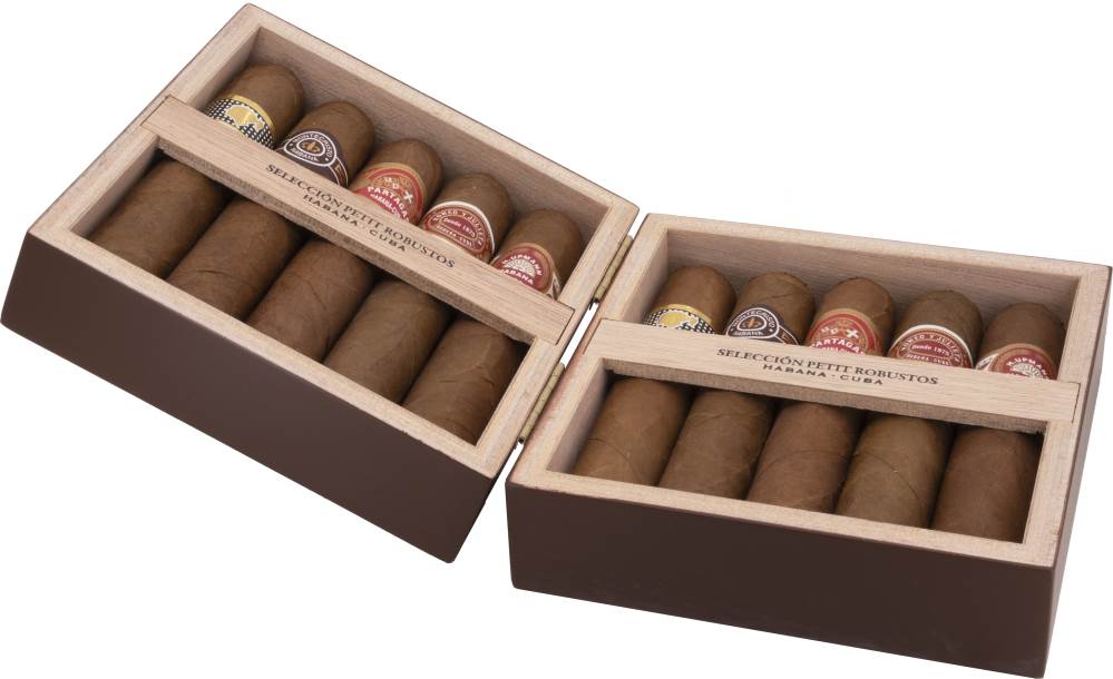 Combinaciones - Selección Petit Robusto 10's