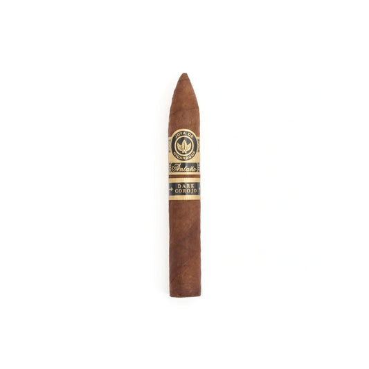 Joya de Nicaragua - Antano Dark Corona Poderoso Belicoso 6 x 54 20 棒