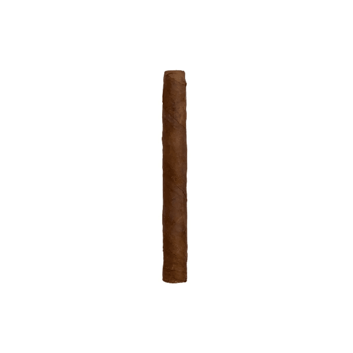 Chazz - 多米尼加雪茄 5 支