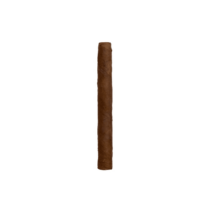 Chazz - 多米尼加雪茄 5 支