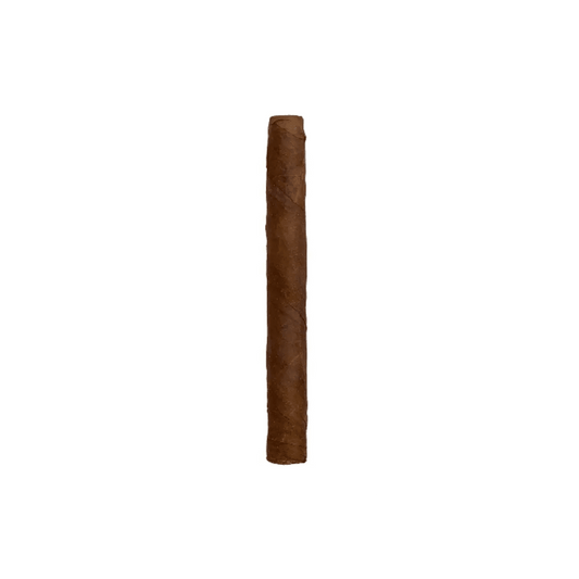 Chazz - Dominican Cigarros Cortos 10 sticks