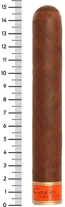 Caine -Daytona双Toro 6 x 60 24棒