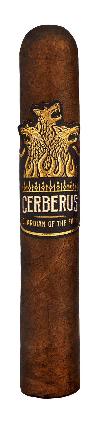 Aganorsa Cerberus - Nicaragua Rare Medio Tiempo Robust 5x54 15 stick box