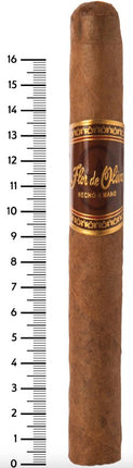 Oliva - Flor De Oliva Churchill 7x50, 25'S